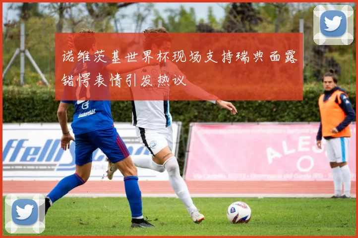 诺维茨基世界杯现场支持瑞典面露错愕表情引发热议